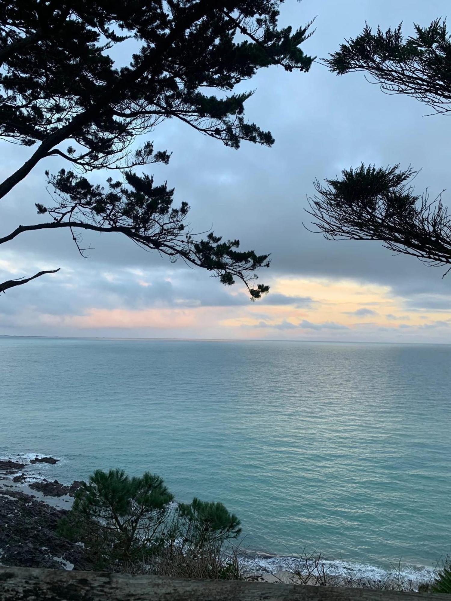 Appartement Moderne A Granville 55 M² Vue Sur Mer Eksteriør billede